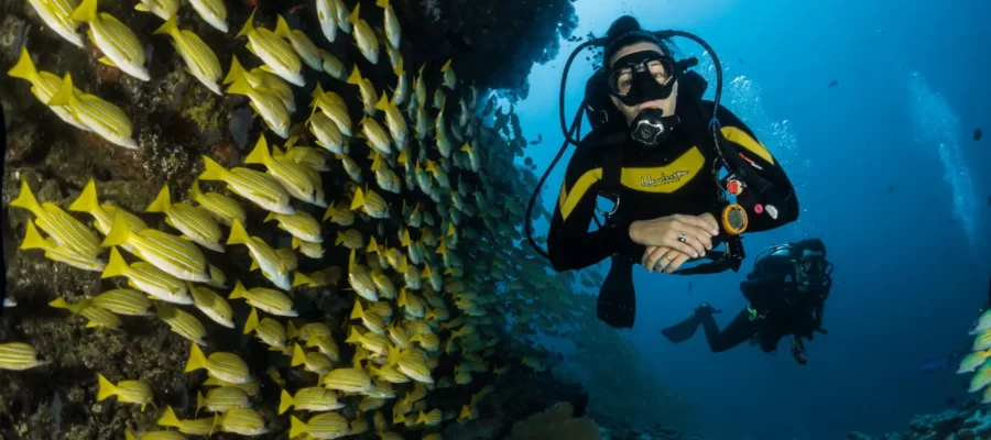 Scuba-Diving-in-Andaman-Best-Time-Cost